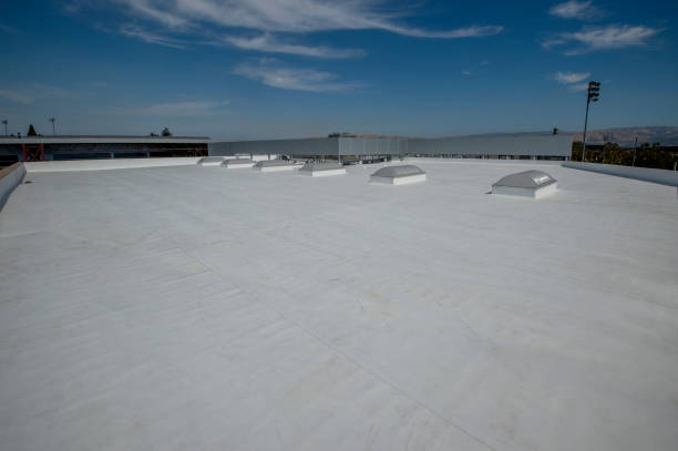 Best Sheet Metal Roofing  in Stockbridge, MI
